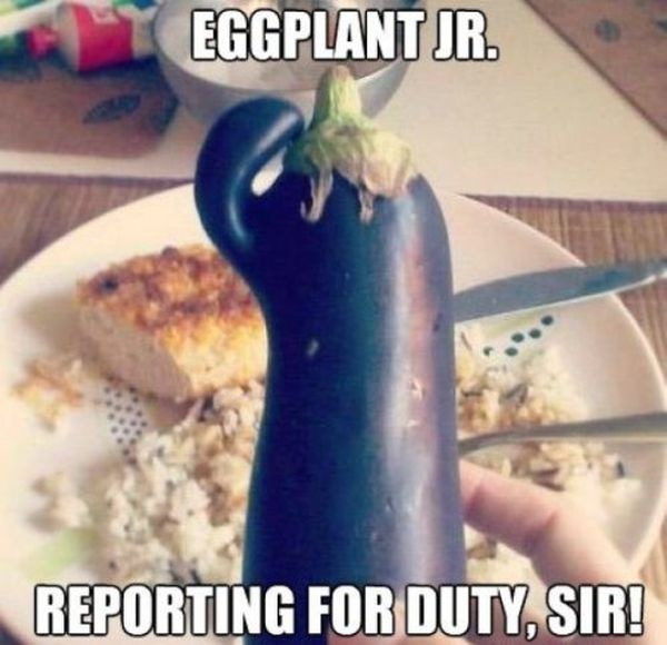 successful black man meme - Eggplant Jr. Reporting For Duty, Sir!