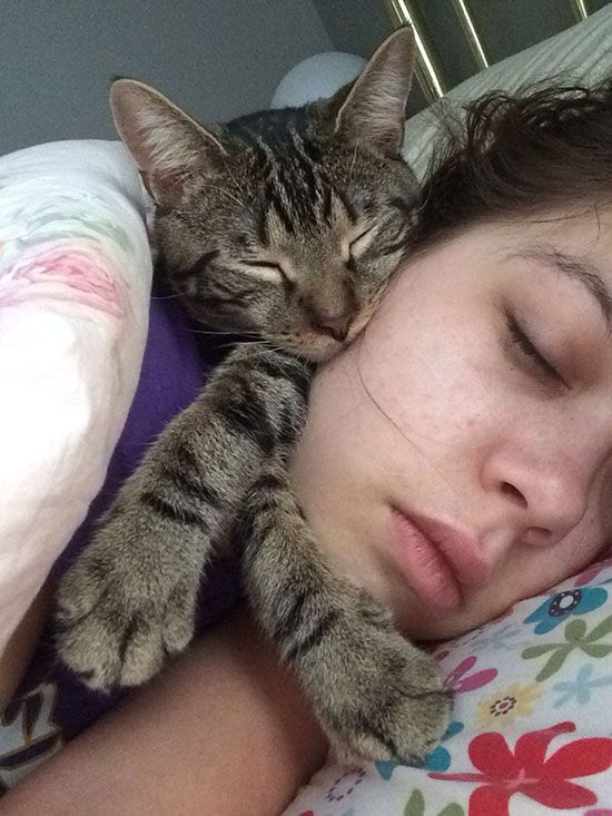 43 Things Cat Owners Will Understand