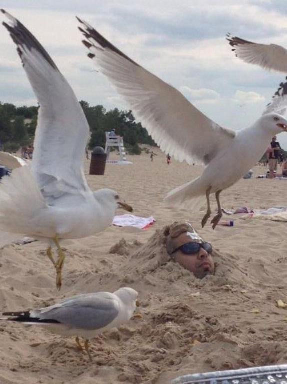 Wrong place at the wrong time