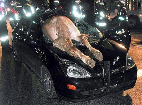 Wrong place at the wrong time