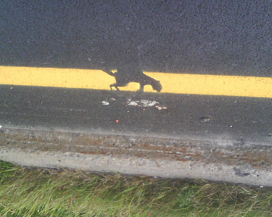 Wrong place at the wrong time