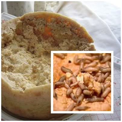 Diners have to dig in before the maggots die. Casu marzu, like many unpasteurized cheeses, is banned in the U.S.