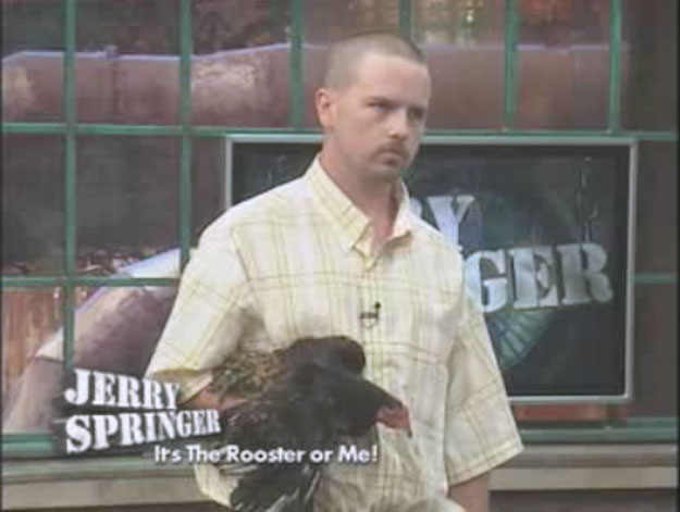 jerry springer show - Ger Jerry Springer It's The Rooster or Me!