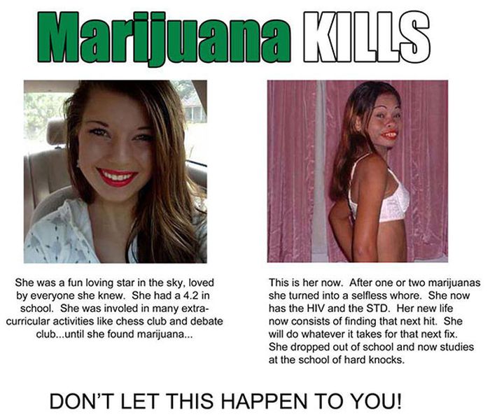 Misinformation About Weed