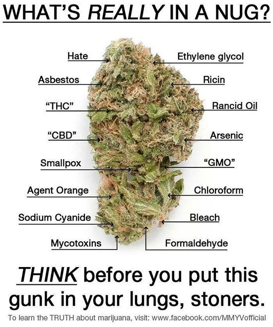 Misinformation About Weed