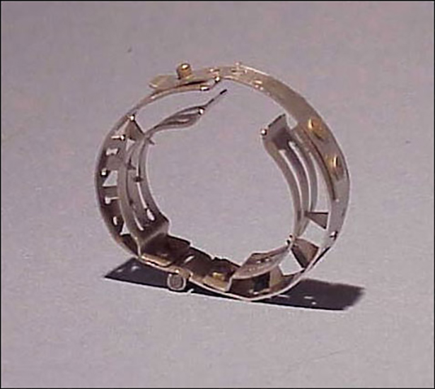 SPERMATORRHEA RING:      During the Victorian era, masturbation was seen as unhealthy. In an attempt to stop the practice amongst men, doctors invented the spermatorrhea. Fitted around the penis, every time a man got a little too sexually excited, the sharp spikes would kill the mood.