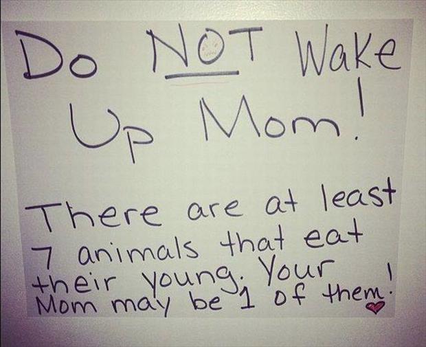 Ward's Random Picture Dump