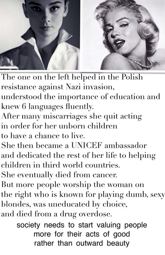 Ward's Random Picture Dump