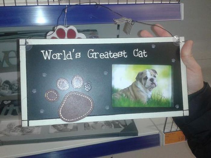display advertising - World's Greatest Cat