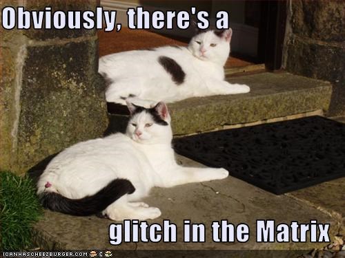 Glitch in the Matrix