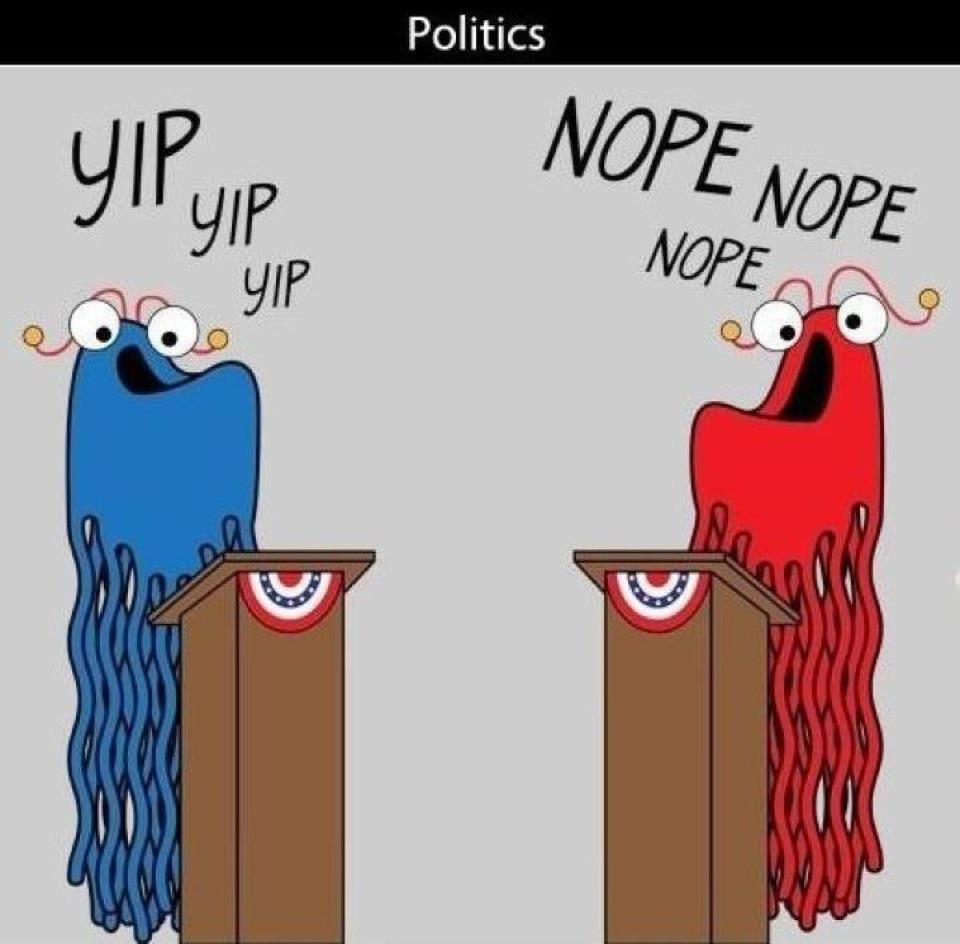 Truth About Politics