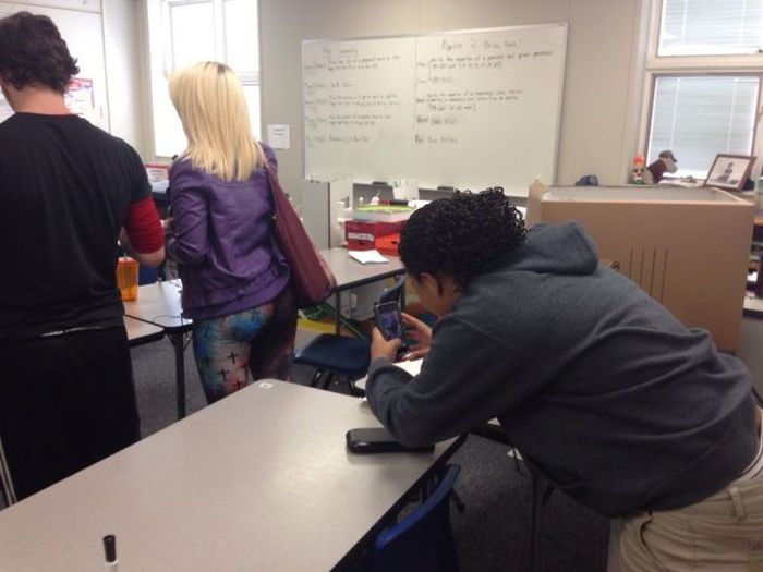 Ward's Random Picture Dump