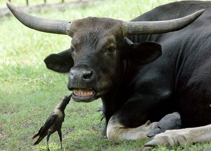 Ward's Random Picture Dump