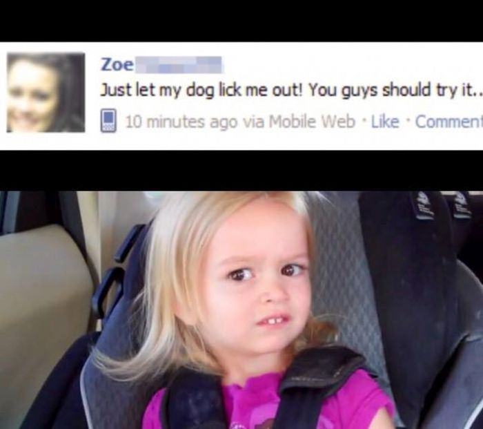 Ward's Random Picture Dump