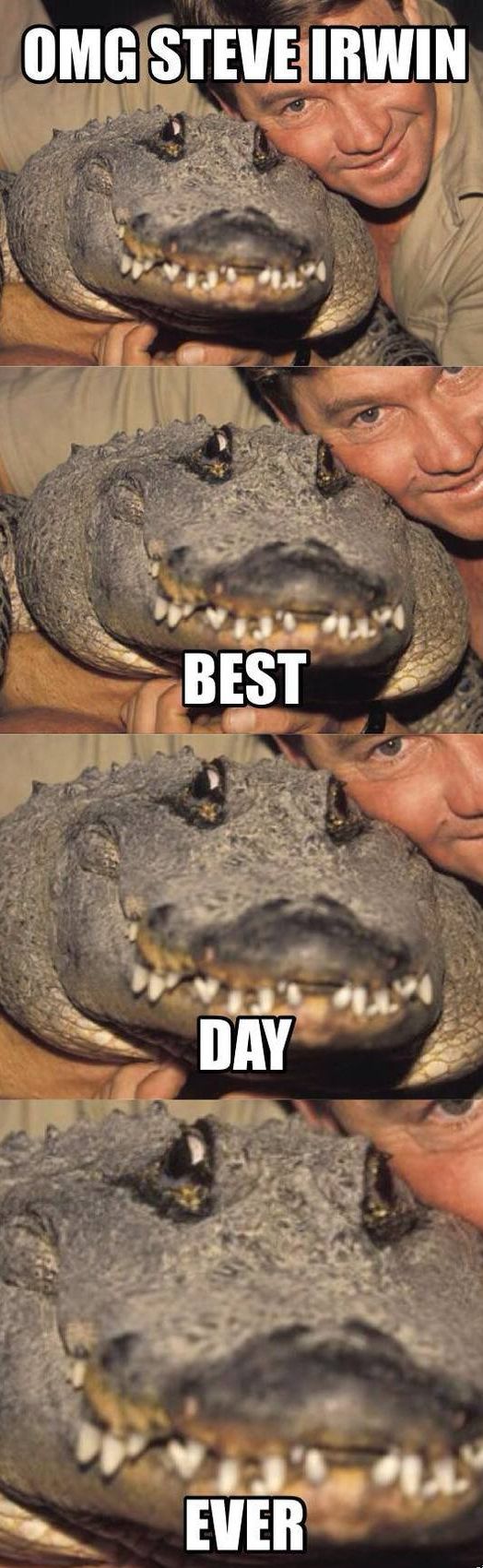 Ward's Random Picture Dump