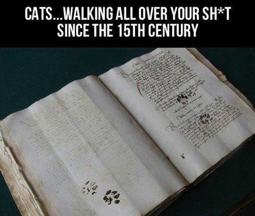 Ward's Random Picture Dump