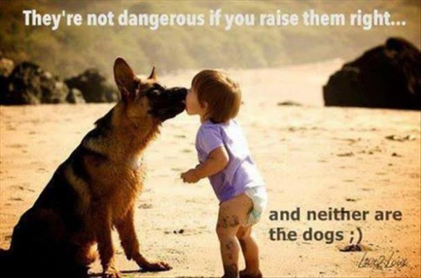 Ward's Random Picture Dump