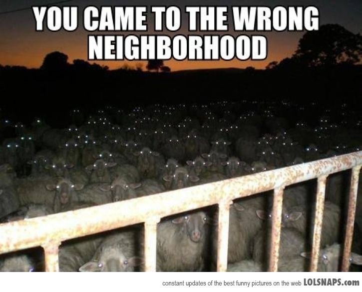 Ward's Random Picture Dump