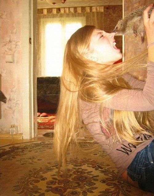 Ward's Random Picture Dump