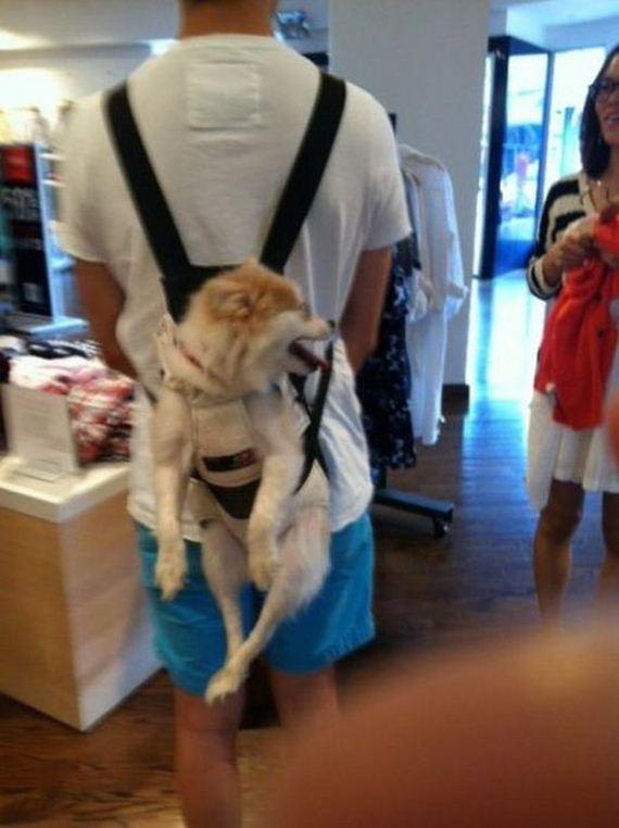 Ward's Random Picture Dump