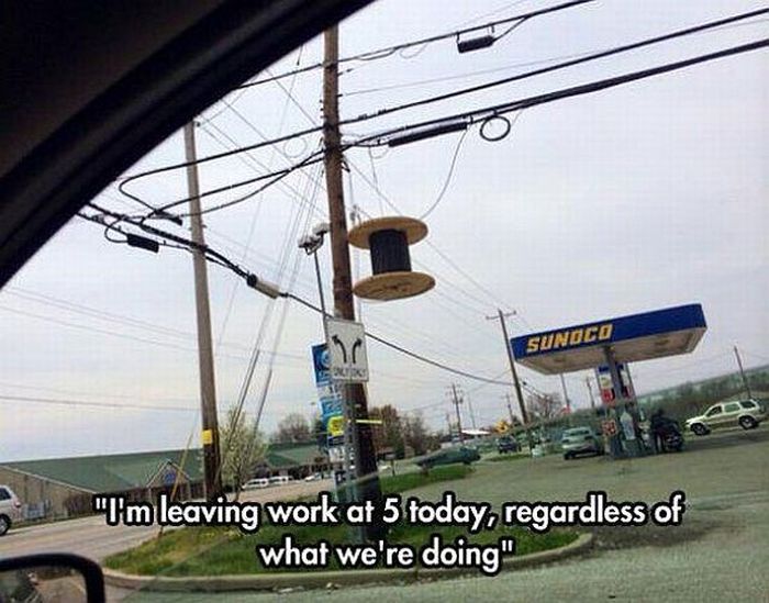 Ward's Random Picture Dump