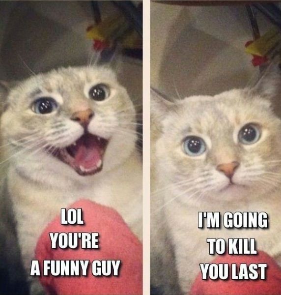 Ward's Random Picture Dump