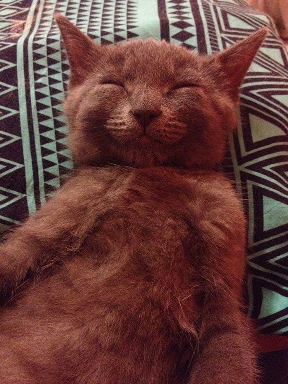 Ward's Random Picture Dump