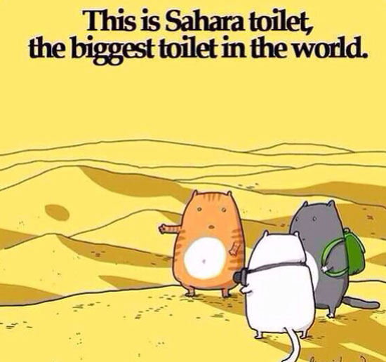 Ward's Random Picture Dump