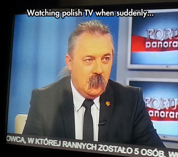 Ward's Random Picture Dump