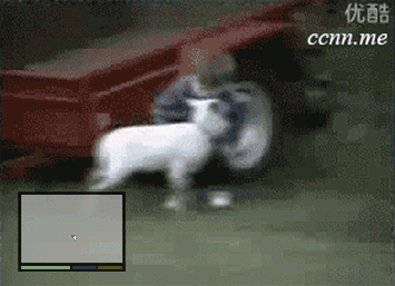 GTA Wasted moments GIFS