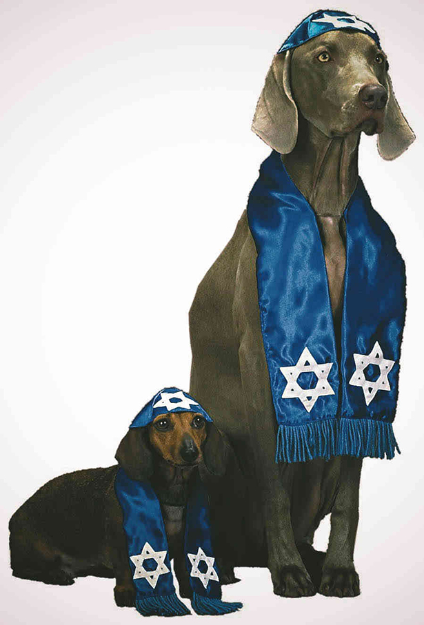 Crazy things you can buy on Amazon