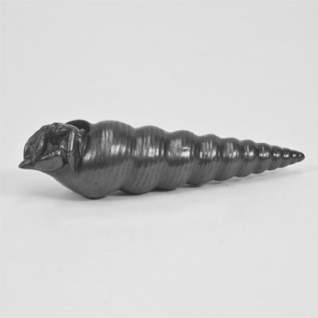 Crazy things you can buy on Amazon