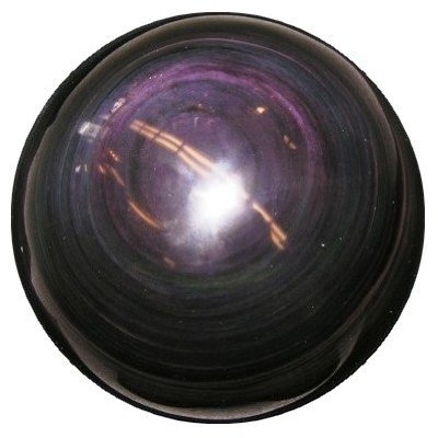 Crazy things you can buy on Amazon