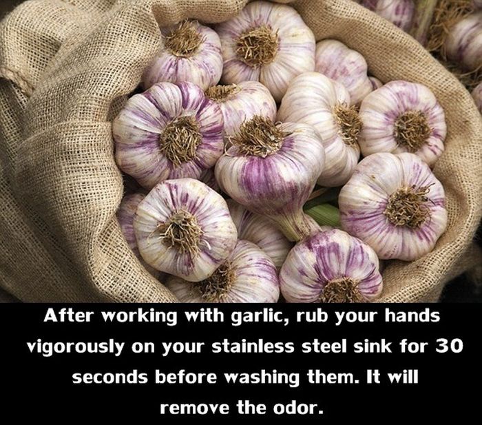 After working with garlic, rub your hands vigorously on your stainless steel sink for 30 seconds before washing them. It will remove the odor.