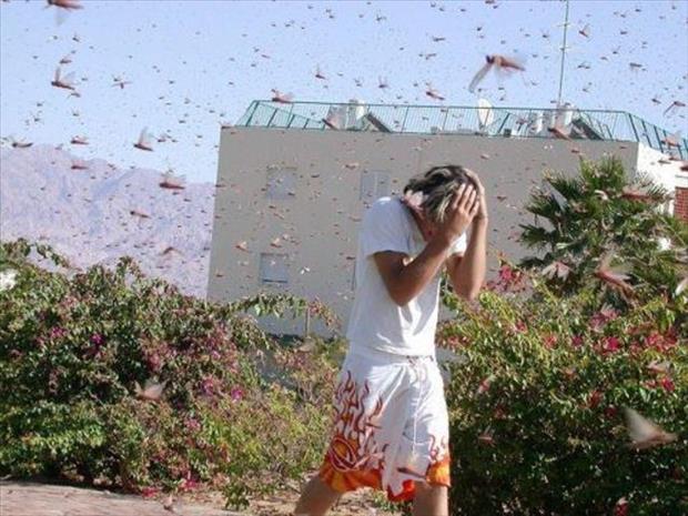 people having a worse day