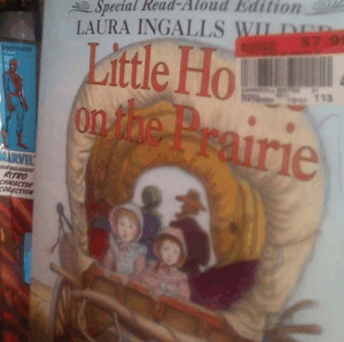 art - ve Special ReadAloud Edition Laura Ingalls Little Hou 119 on the Prairie Arve Rito Chacacik Cocio