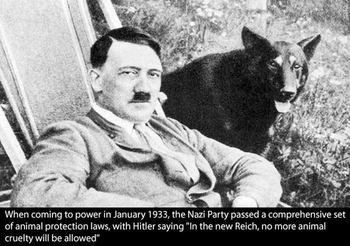 Things You didnt know about Hitler