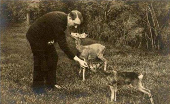 Adolf Hitler Feeding A Baby Deer from His Hand, Mid-308242s