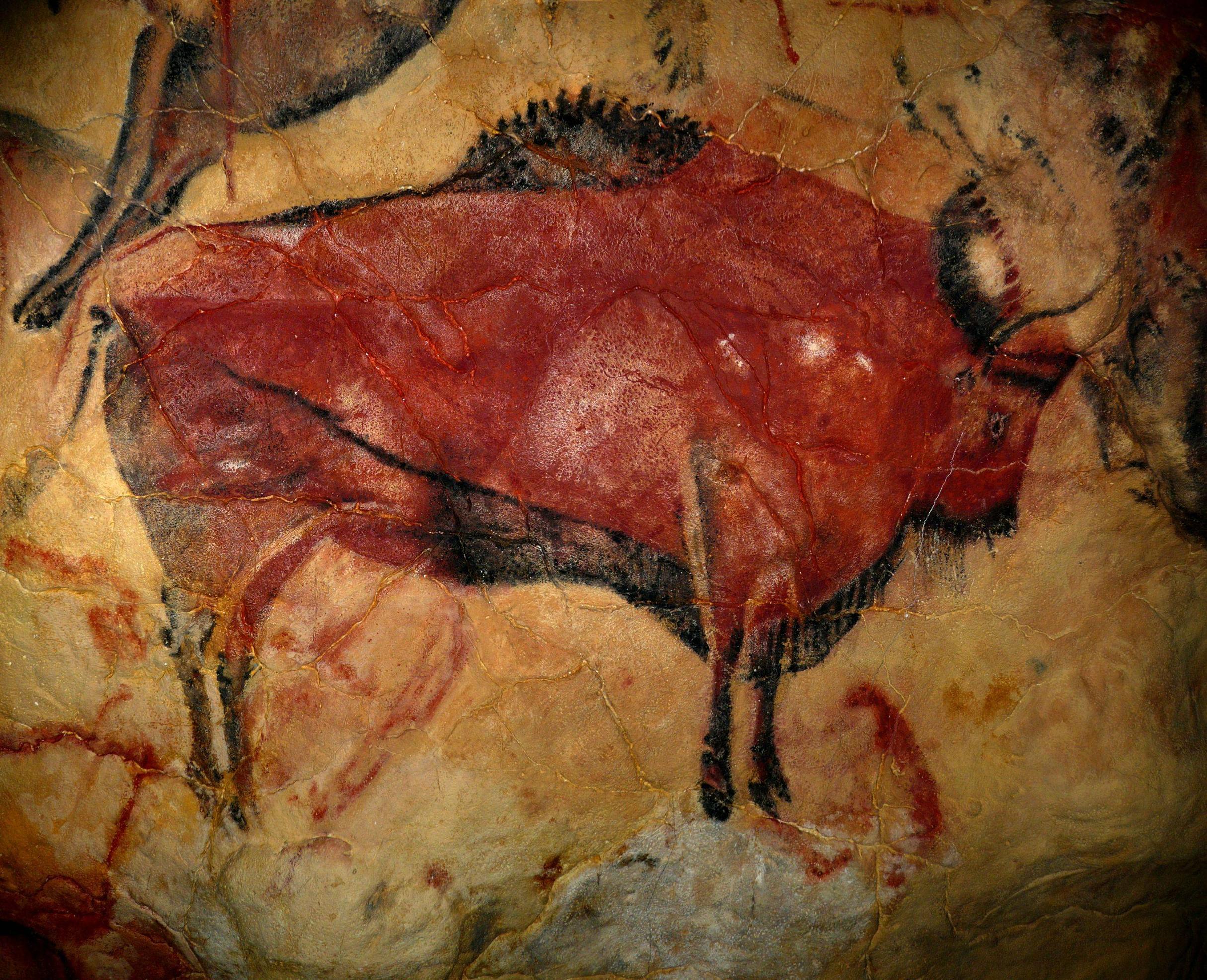 Painting of a bison in the cave of Altamira, which was created from 35,600 to 13,500 BCE by Cro-Magnon