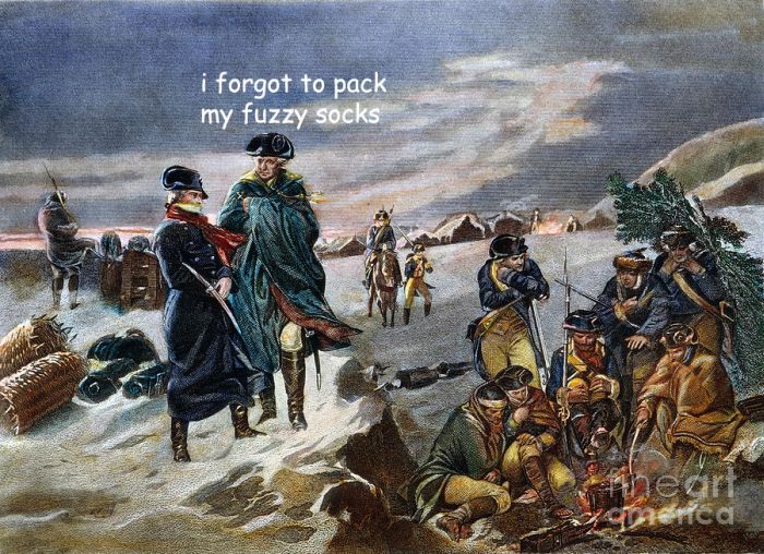 George Washington memes