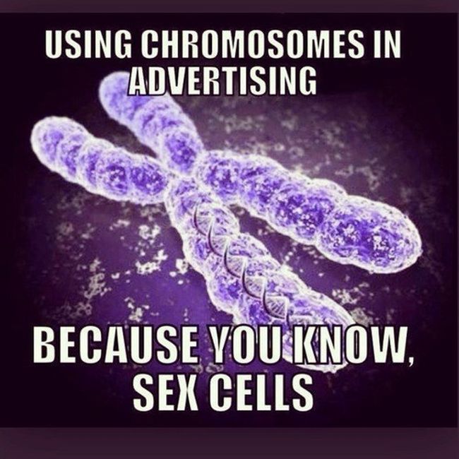 using chromosomes in advertising - Using Chromosomes In Advertising Because You Know, Sex Cells