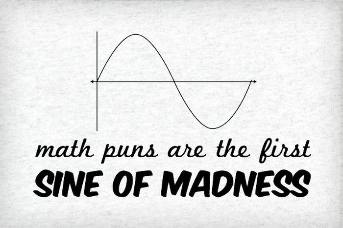sine of madness - math puns are the first Sine Of Madness