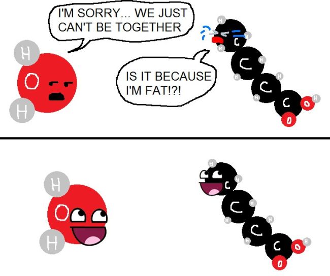 best science jokes - I'M Sorry... We Just Can'T Be Together Is It Because I'M Fat!?! O Oo