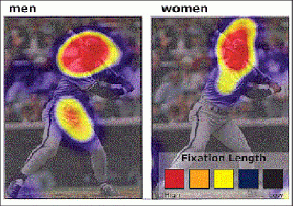 Men focus on baseball players torso more than women, who look only at the face.