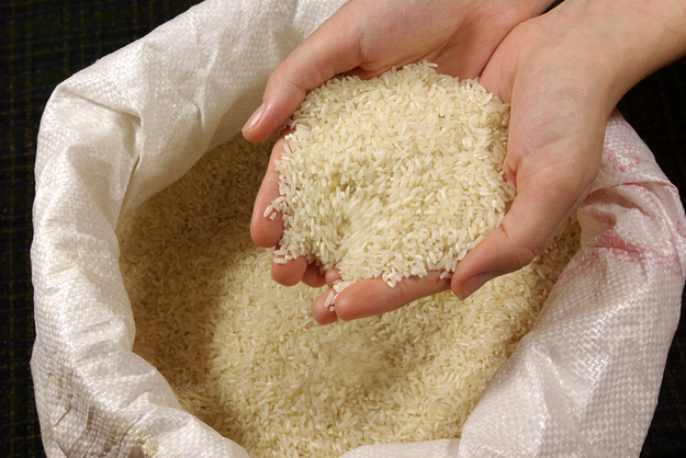 Dipping your hand into a deep bag of uncooked rice
