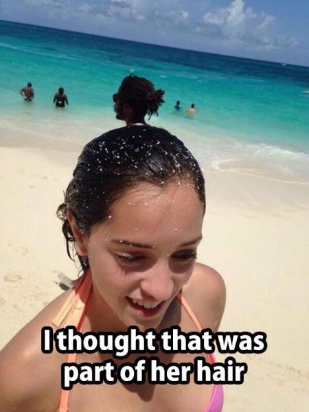 Ward's Random Picture Dump