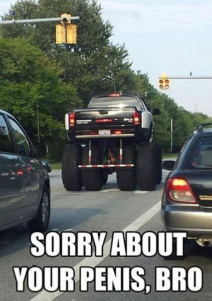 Ward's Random Picture Dump