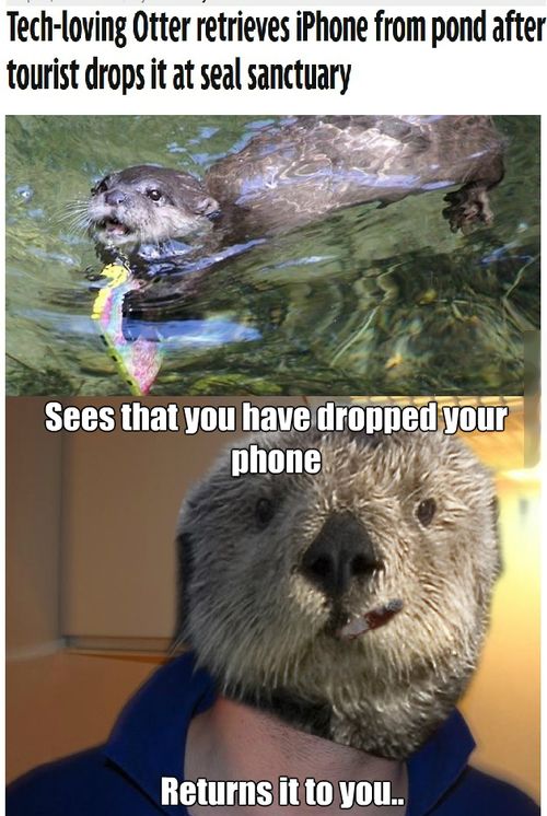 Ward's Random Picture Dump