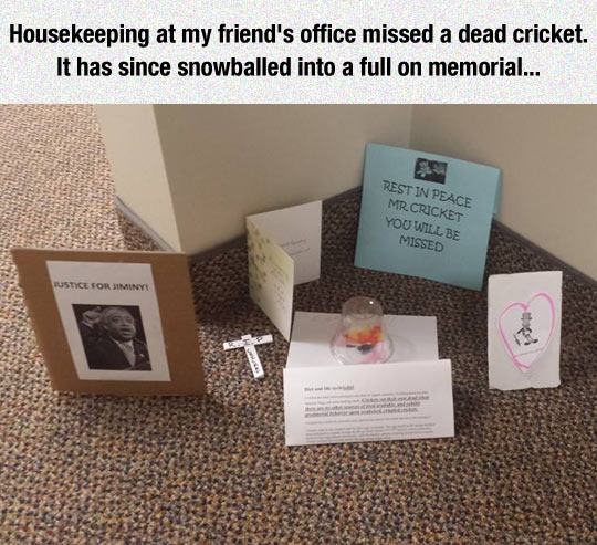 Ward's Random Picture Dump