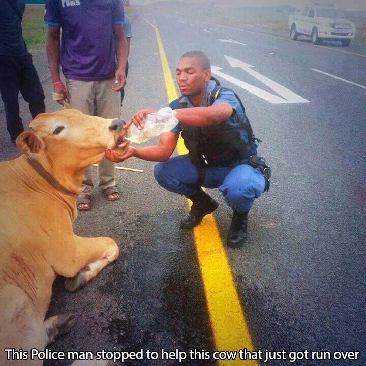 Not All Cops Are Bad